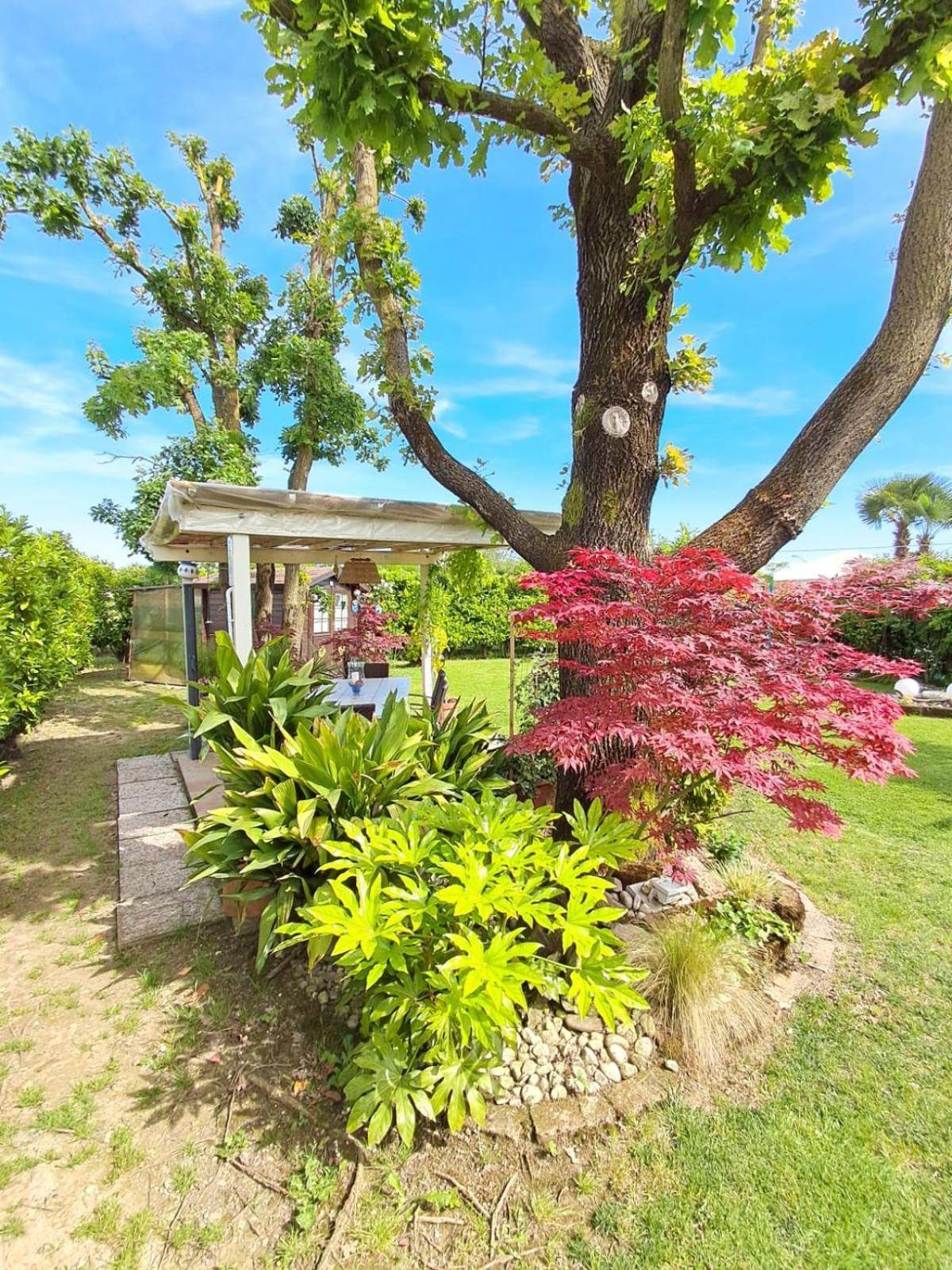Villa Sabry Turriaco Exterior foto